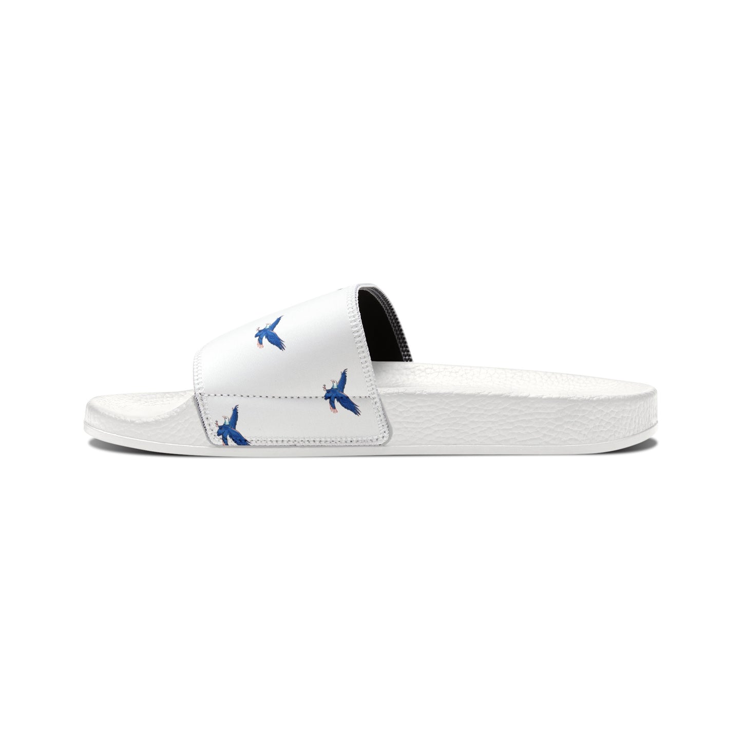 Men's Slide Sandals/American Bald Eagle