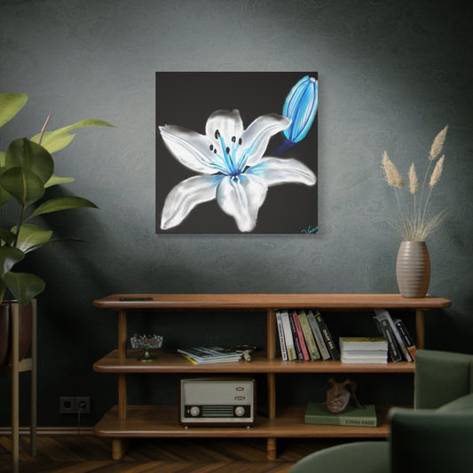 Matte Canvas, Stretched, 1.25" White/Blue Lily Black/BG/ Digitally Painted Print